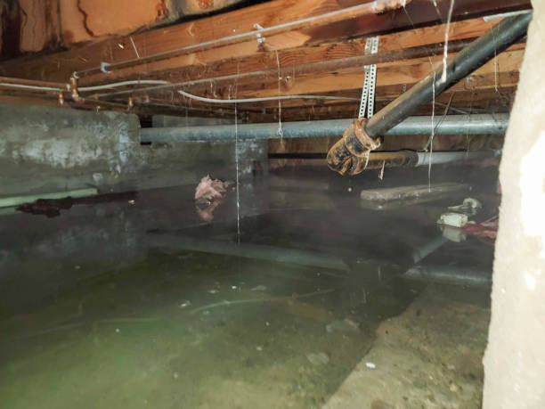 Best Storm and Flood Water Damage Restoration in Royal City, WA