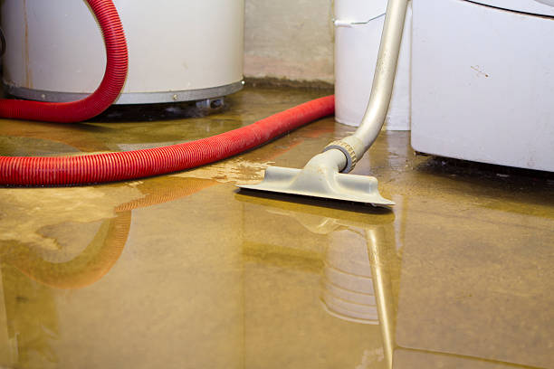 Best Odor Removal and Sanitization After Water Damage in Royal City, WA